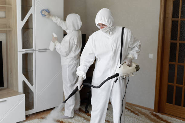 Best Commercial Mold Remediation in Wayne City, IL