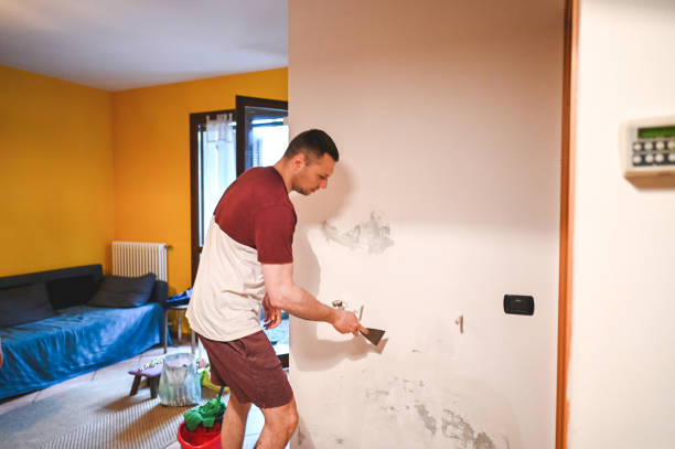 Best HVAC Mold Remediation in Wayne City, IL